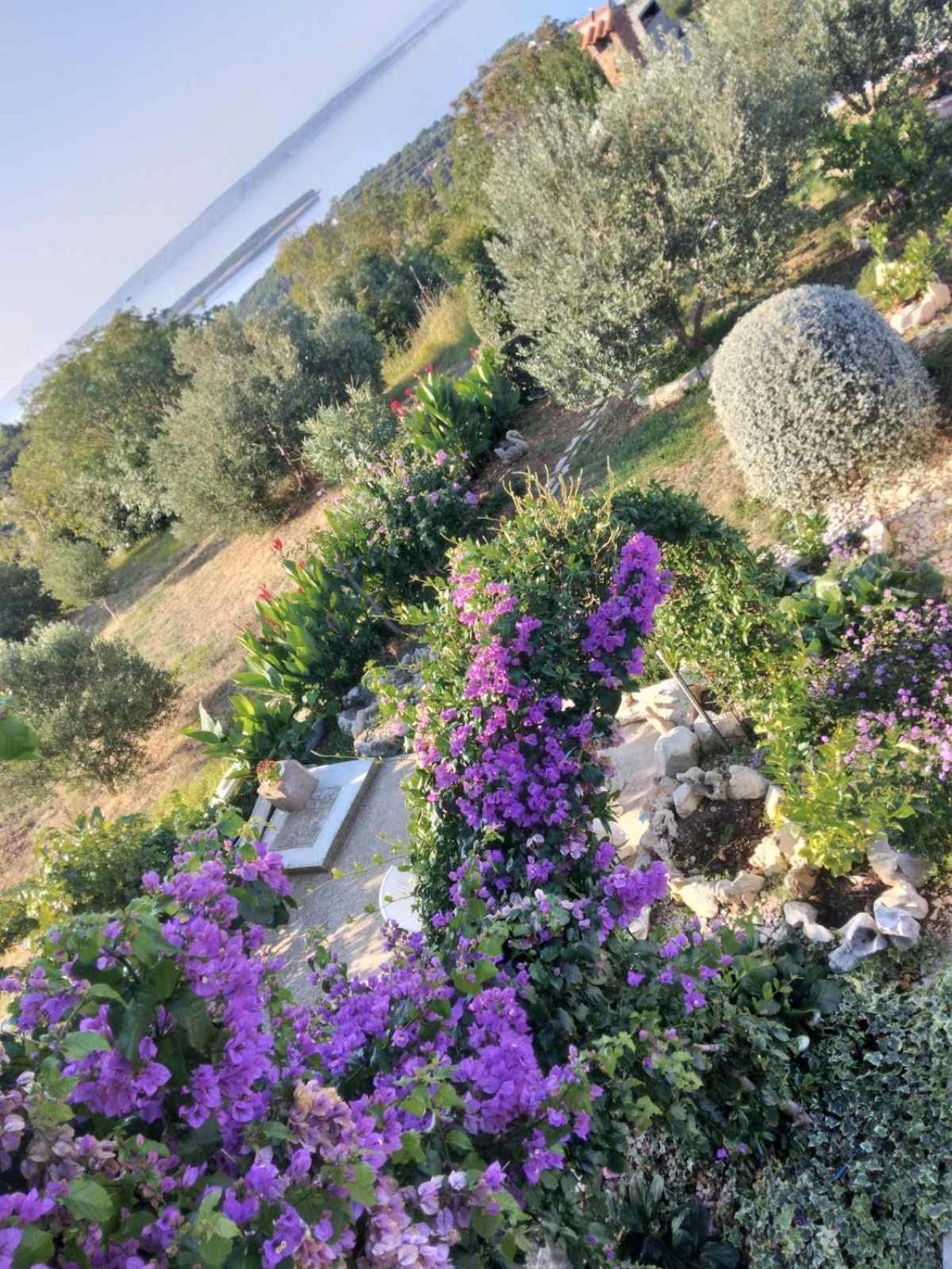 Apartments Panorama View Zeljko Scerbe Mundanije Dış mekan fotoğraf