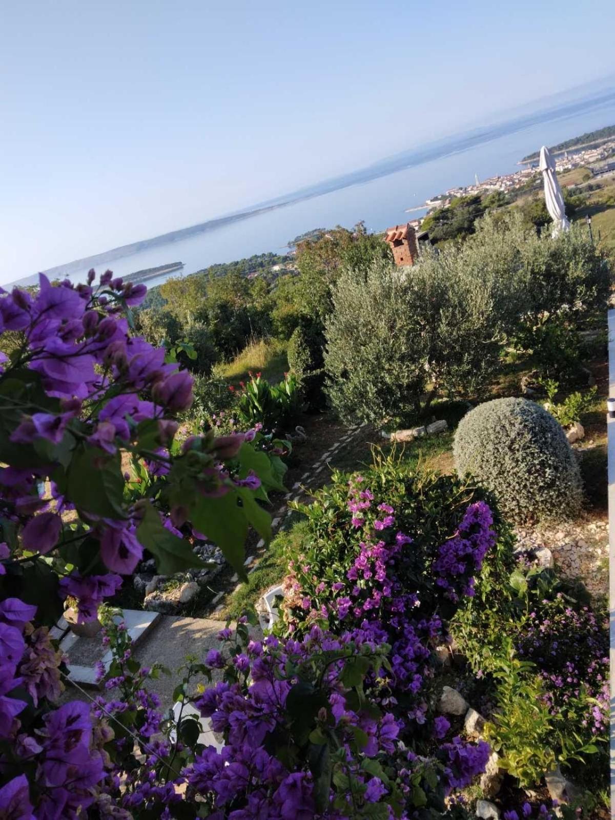 Apartments Panorama View Zeljko Scerbe Mundanije Dış mekan fotoğraf