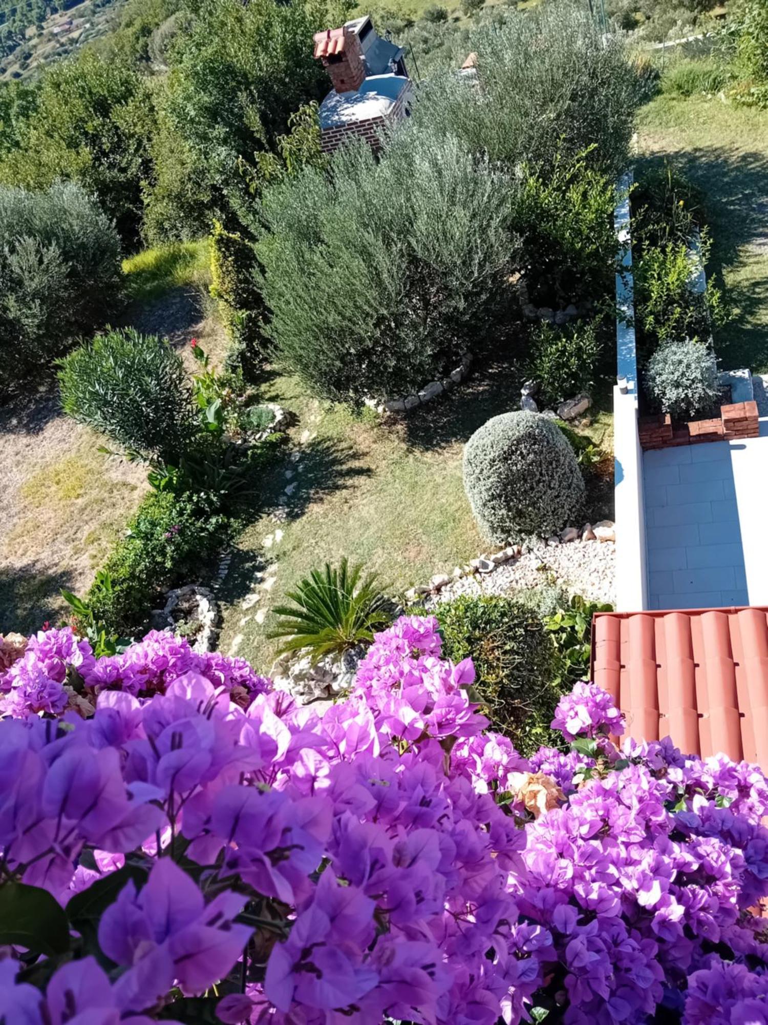 Apartments Panorama View Zeljko Scerbe Mundanije Dış mekan fotoğraf